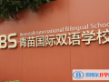 北京青苗国际双语学校2023年招生简章