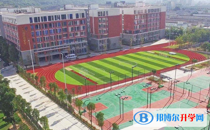 深圳瑞得福国际学校2023年招生计划