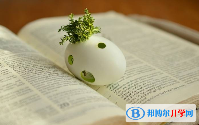  2020年思茅中考服务平台