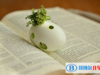 2020年思茅中考服务平台