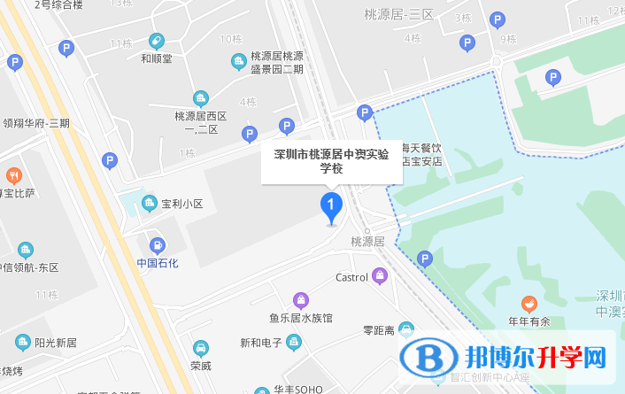 深圳桃源居中澳实验学校地址在哪里