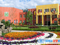 北京私立树人学校瑞贝学校2023年招生计划