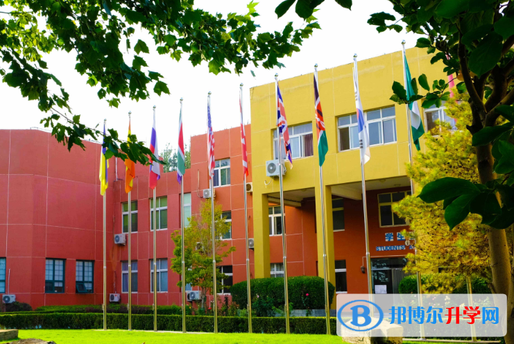 北京私立树人学校瑞贝学校怎么样、好不好