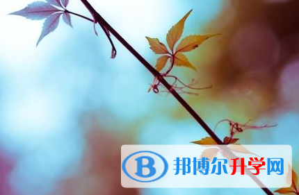  2021年楚雄中考怎么办
