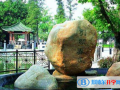 广州仲元中学国际班2023年招生办联系电话