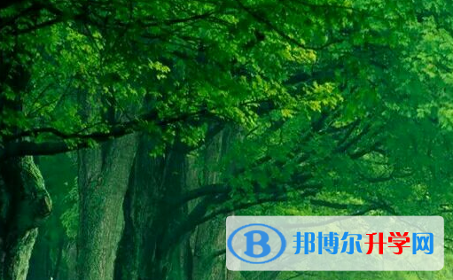  2021年楚雄中考落榜了怎么办