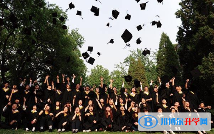 北京潞河国际教育学园学校网站网址 