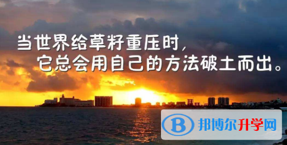  2021年楚雄还有一天中考怎么办