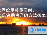 2021年楚雄还有一天中考怎么办