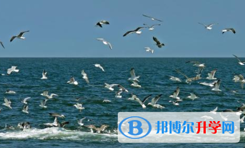 2021年宝鸡中考试卷难吗