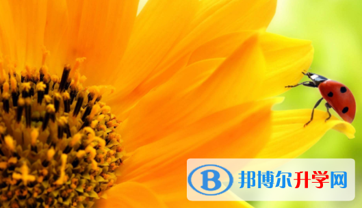  2021年宝鸡中考如何