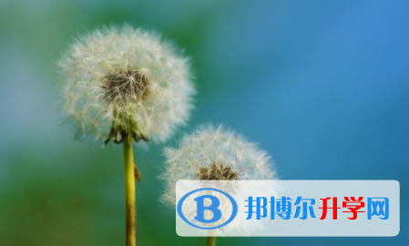  2021年宝鸡中考网上学校