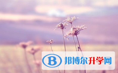  2021年宝鸡中考网络服务应用平台