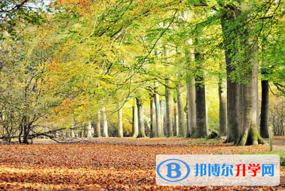 2021年宝鸡今年中考统招线包括哪些区域