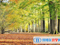 2021年宝鸡今年中考统招线包括哪些区域