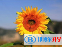 2021年宝鸡中考报名