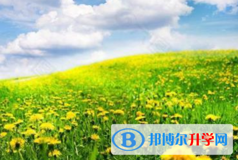 2021年宝鸡中考的统招和调剂说明