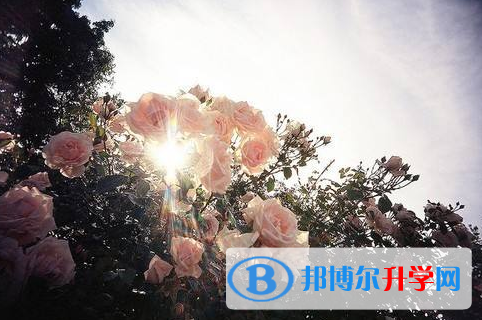 2021年宝鸡中考怎么作弊是最好的