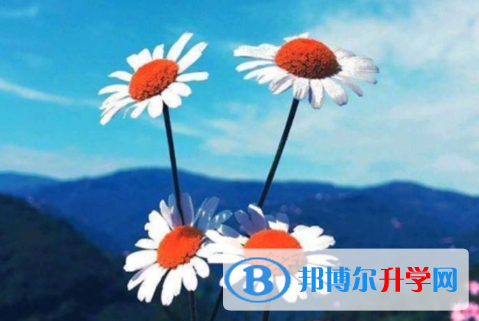  2021年宝鸡中考是多少科