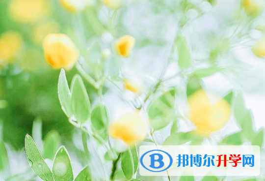 2021年文山今年中考哪些学校有招生