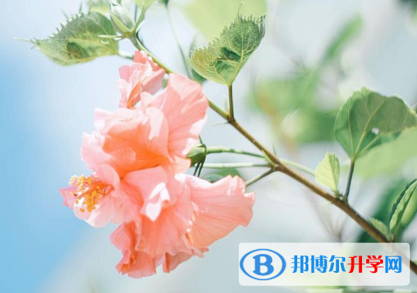 2021年文山今年中考统招线包括哪些区域