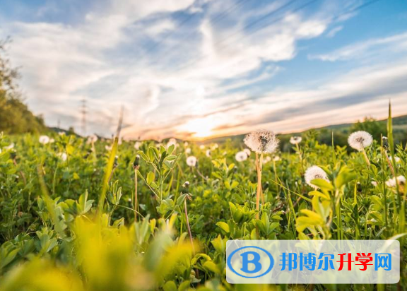 2021年宝鸡没有学籍可以参加中考吗