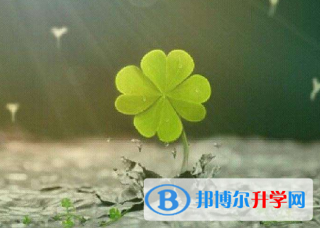 2021年宝鸡中考准考证丢了怎么办