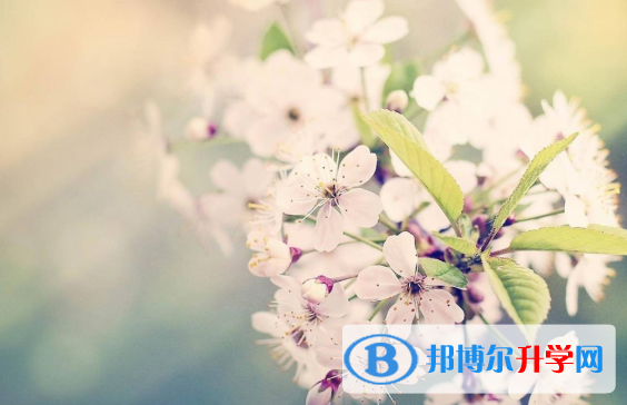  2021年宝鸡中考填报志愿后还可以改吗