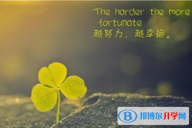2021年攀枝花网上查询中考成绩怎么查询