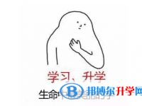 2021年德宏中考特长生招生简章