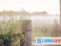 2021年德宏中考上的学校