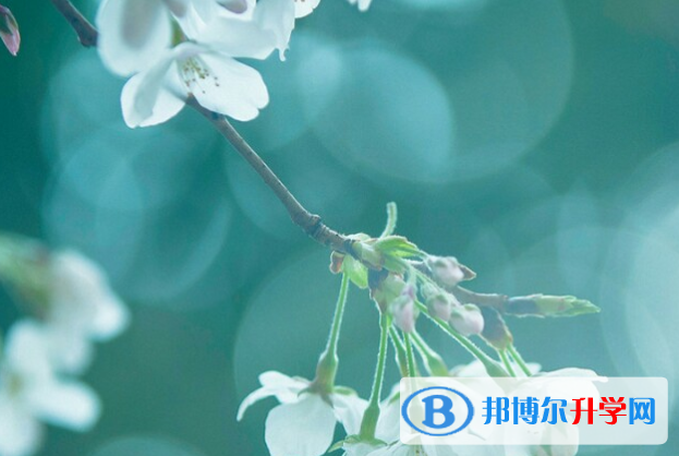 2021年德宏中考网络服务平台