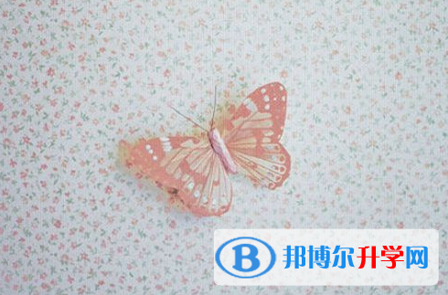 2021年怒江中考报名网站是什么