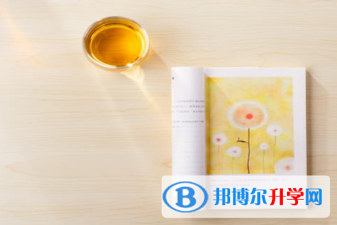 2021年遂宁中考录取查询