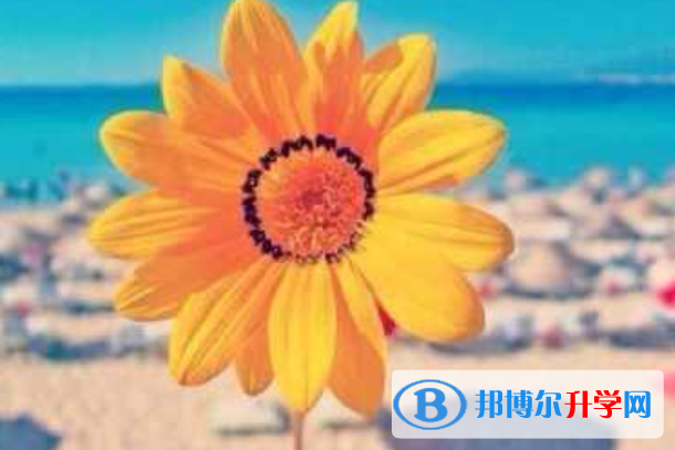2021年广元中考录取方式