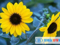 2021年广安中考考试成绩