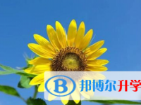 2021年宜宾中考怎样考出好成绩