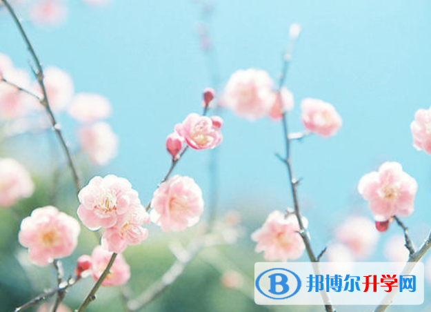 2021年广安中考失利