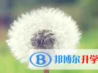 2021年宜宾中考报名系统