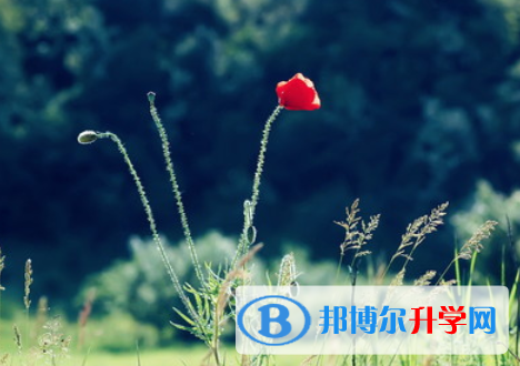 2021年广安中考自主招生办法