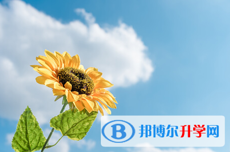 2021年雅安中考注意事项