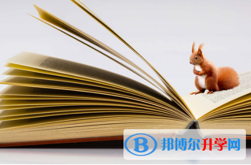 2021年雅安中考志愿填报