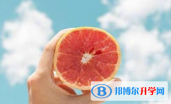 2021年广元中考填志愿统招和调剂