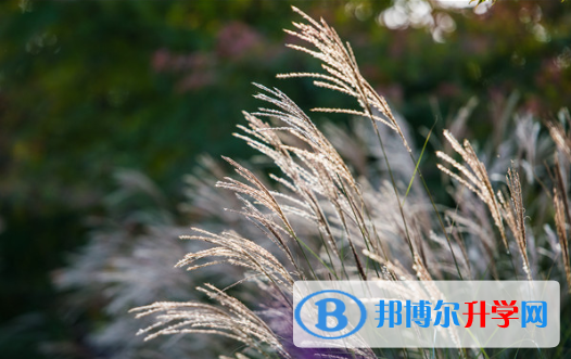 2021资阳查询中考成绩上哪个网站