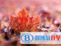 2021年宜宾中考的规则