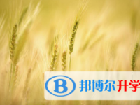 2021年宜宾中考报名学校