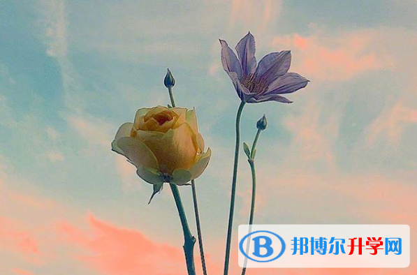 2021年广元中考网上报名系统