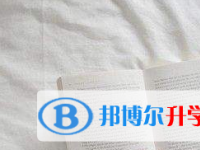 2021年宜宾中考重点复习资料