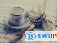 2021年宜宾中考志愿的样表