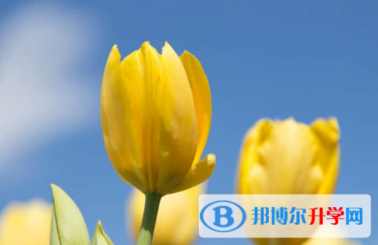 2021年资阳中考查询电话